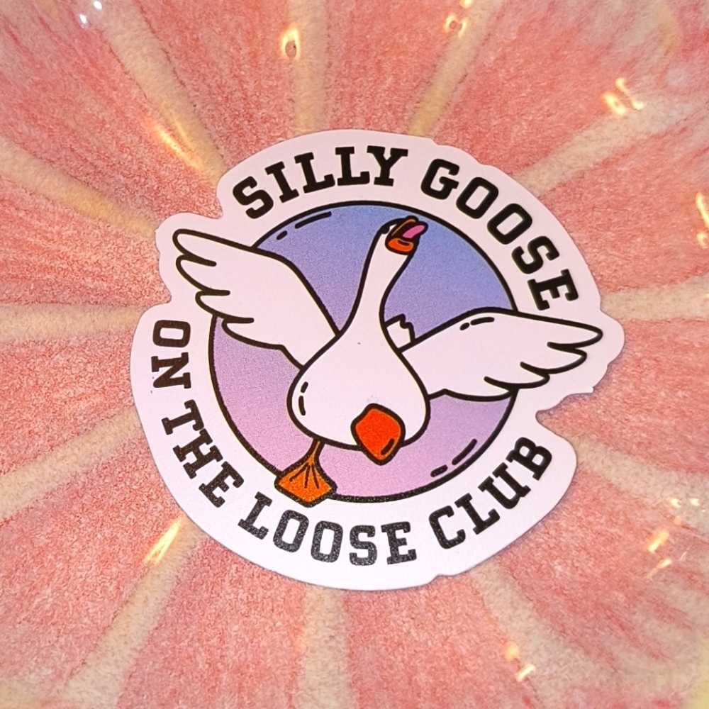 5/$10 multicolor silly goose on the loose sticker for laptop car mirror cup mug